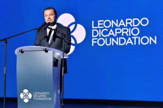 Leonardo DiCaprio investește în marca de șampanie Telmont