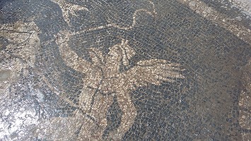 FOTO Un oraș roman necunoscut a fost descoperit la poalele Pirineilor