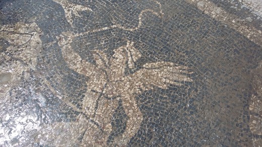 FOTO Un oraș roman necunoscut a fost descoperit la poalele Pirineilor