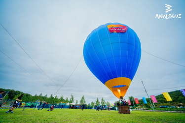 Peste 30.000 de participanti la prima editie. Analogue Festival, cel mai mare festival din regiune
