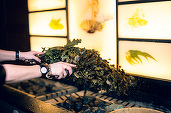 Începe Herbarium Festival 2024 la Therme București. Festivalul international de ritualuri, experiente cu plante si produse naturale este cel mai mare eveniment de acest gen din Europa de Est
