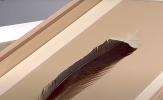 VIDEO O pană s-a vândut la o licitație cu aproape 30.000 de dolari, un record mondial