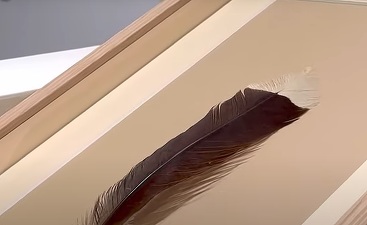 VIDEO O pană s-a vândut la o licitație cu aproape 30.000 de dolari, un record mondial