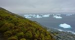 Cercetătorii au analizat imagini din spațiu pentru a vedea cât de repede înverzește Antarctica: Aproape 8 kilometri pătrați de vegetație în 35 de ani