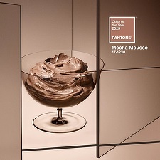 FOTO Mocha Mousse a fost aleasă culoarea anului 2025
