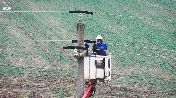 VIDEO&FOTO Lucrări de prevenire a electrocutării păsărilor la sute de stâlpi ai rețelei de distribuție a energiei electrice din zona Dobrogei, considerată cea mai periculoasă