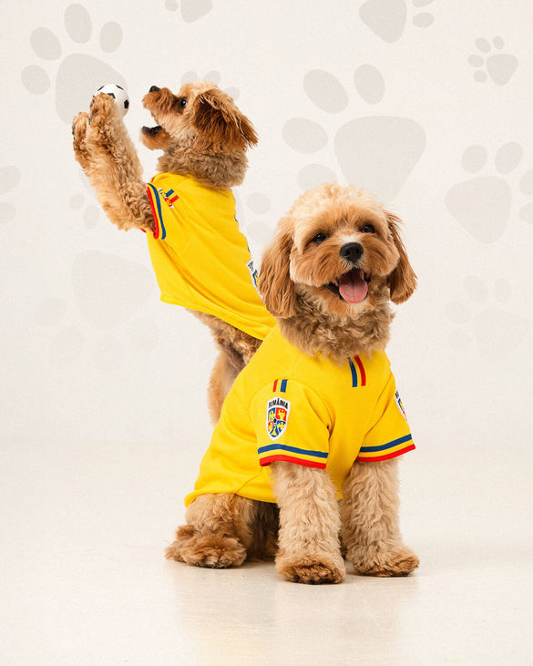 Federația Română pe Fotbal lansează echipamentul tricolor pentru…câini! FOTO