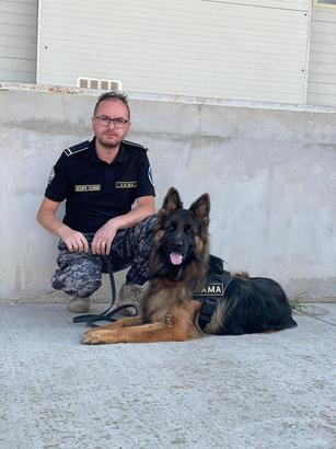 FOTO Kira și Paco, doi câini special antrenați, au descoperit, la Suceava, kilograme de tutun de contrabandă