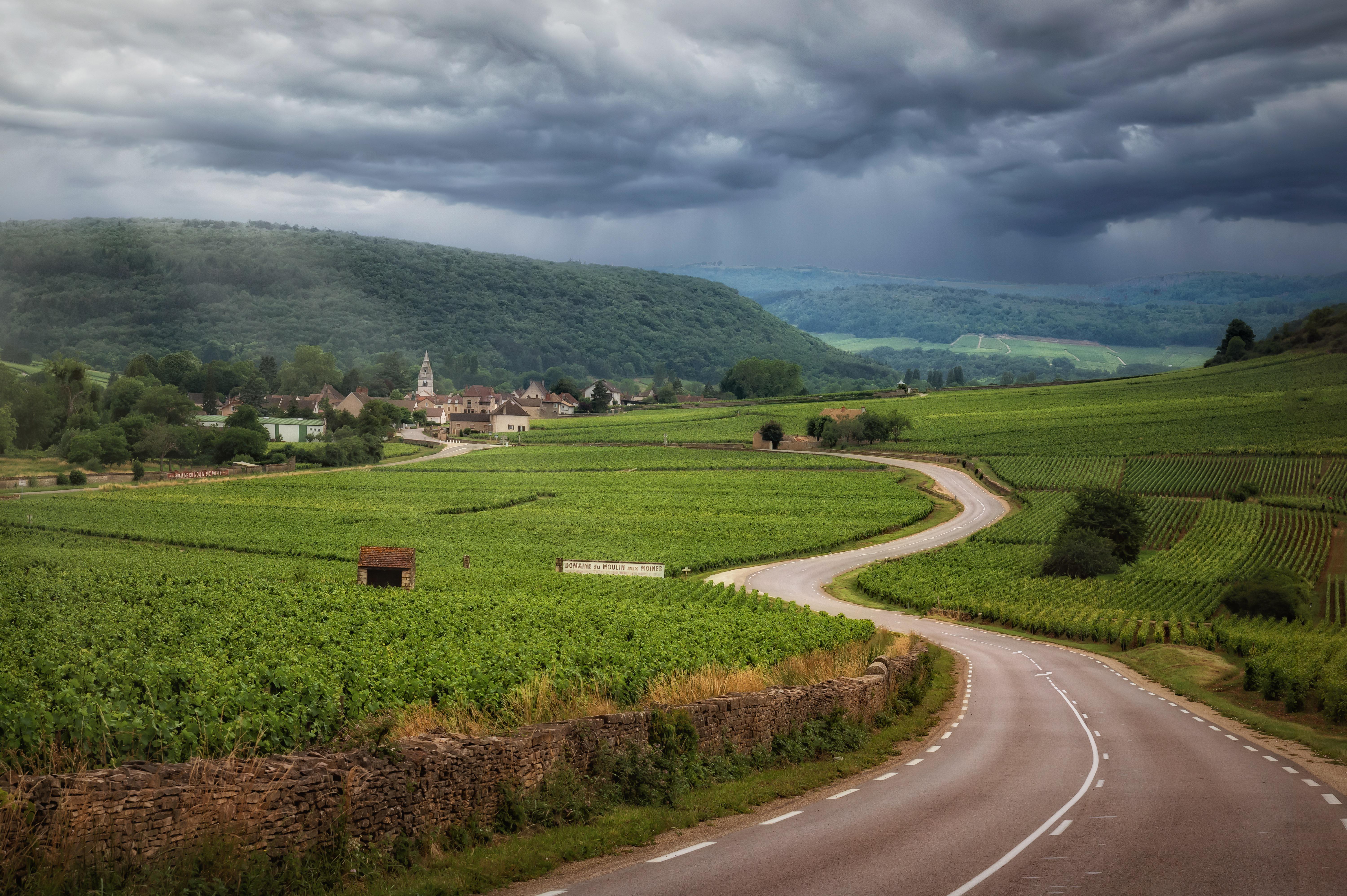 Registrele vinurilor din Burgundia, cele mai vechi evidențe istorice ale schimbărilor climatice. Un studiu care acoperă 700 de ani arată ravagiile provocate de schimbările climatice. Totul s-a accelerat în 1988