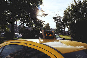 Viață de taximetrist: Mort transportat la Medgidia și câine maidanez folosit ca punct de reper