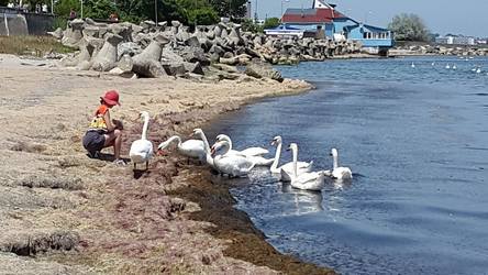 Delta Dunării, Mamaia și Băile Felix, cele mai căutate destinații românești în vara acestui an