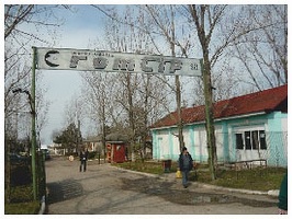 Fiul lui Dragnea se împrumută pe termen foarte scurt cu 100.000 euro la Unicredit, pentru ferma de porci