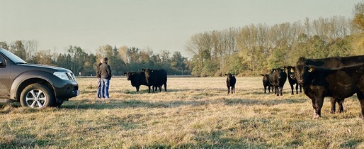 Tranzacție: Fondul de investiții Agroinvest Plus, condus de doi foști bancheri Credit Suisse, cumpără integral ferma de bovine Angus din Sibiu cu 6 milioane euro