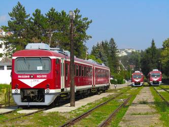 Transferoviar Grup, unul dintre cei mai importanți operatori privați din transportul feroviar, majorează capitalul filialei Călători cu 10 milioane lei