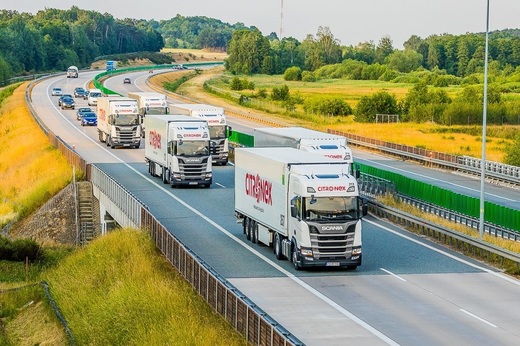 Grupul Citronex, unul dintre cei mai mari importatori de banane din Europa, dar cu operațiuni și în spălătorii auto, hoteluri, restaurante și supermarketuri, a intrat pe piața locală