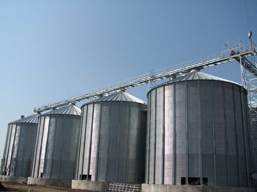 Italienii de la Iragri care lucrau de 10 ani în Teleorman intră în faliment. Printre acționari - un italian care a construit pasajul Basarab și s-a orientat spre agricultură crezând că e mai bine. Povestea detaliată a unei afaceri căzute