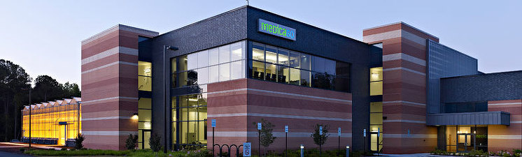 Compania canadiană Medicago anunță producerea cu succes a unui vaccin candidat viabil pentru COVID-19