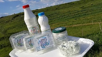 SURPRIZĂ Lipsa de personal din agricultură face prima victimă. Ferma Caprele Irinucăi, un brand de familie indicat drept "una dintre mândriile județului Iași", oprește producția și se retrage de pe piață tocmai când a intrat pe profit
