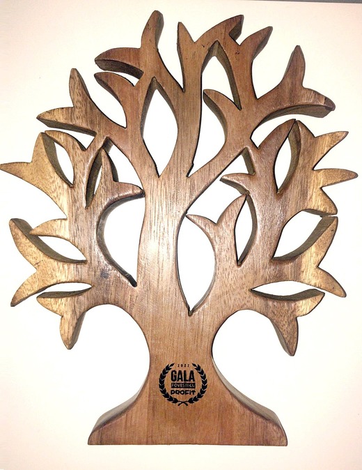 Profit.ro premiază manageri de top și companii românești de succes, dar și tineri olimpici