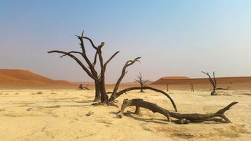 Guvernul vrea să faciliteze exportul de mașini Logan, aparatură IT și apă minerală către Burundi, Kenya, Rwanda, Tanzania, Uganda