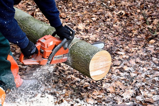 Numărul de angajați din sectorul prelucrării lemnului din România a crescut cu 17% în ultimii șase ani