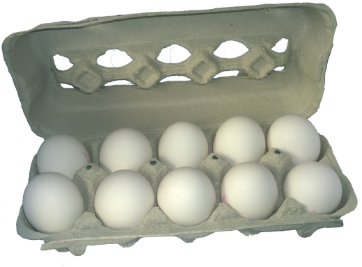 CE va convoca la o reuniune reprezentanții țărilor UE afectate de scandalul ouălor contaminate cu Fipronil