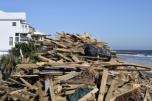 Congresul american acordă încă 36,5 miliarde dolari pentru regiunile afectate de uragane și incendii