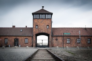 Germania va face plăți suplimentare pentru supraviețuitorii Holocaustului