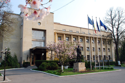 ULTIMA ORĂ 17 români, la bordul unei nave aflate în carantină în Japonia