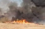 VIDEO&FOTO Incendiu puternic în Delta Văcărești. 30.000 de metri pătrați de vegetație ard