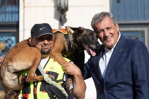 Poliția Animalelor va fi operațională în 60 de zile