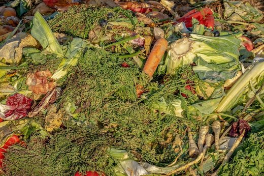 Oamenii risipesc anual aproape un miliard de tone de alimente