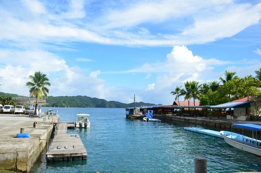 Palau și-a pierdut statutul de țară "liberă de coronavirus", după apariția a două cazuri de infectare în rândul turiștilor