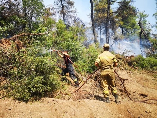 VIDEO Cei 142 de pompieri români care au ajutat la stingerea incendiilor din Grecia - înaintați în grad