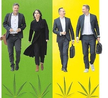 O eventuală ”coaliție a canabisului”, un ”joint-venture” SPD-Verzi-FDP, îngrijorează poliția germană