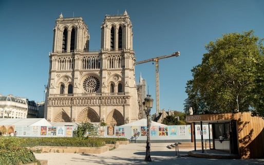 1.200 de stejari au fost tăiați pentru restaurarea catedralei Notre-Dame din Paris