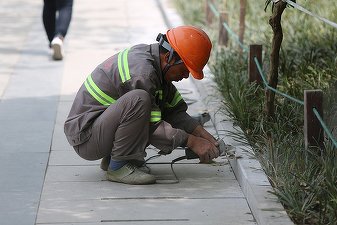 Migranții devin tot mai importanți pe piața muncii