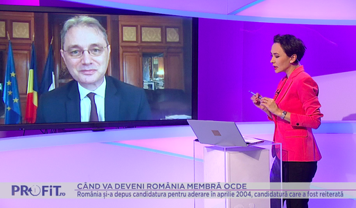 VIDEO Ora de Profit.ro - Luca Niculescu, ambasadorul României în Franța: Când poate România adera la OCDE