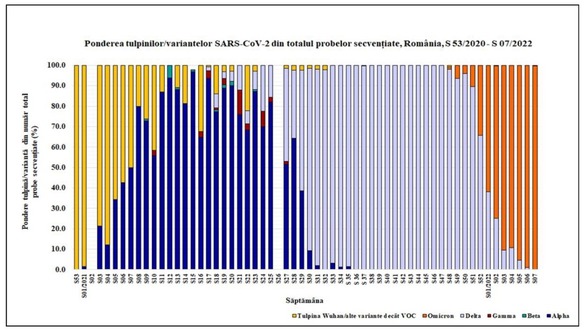 Subvarianta mai contagioasă a coronavirusului, BA.2, a ajuns la 9% din infectările cu Omicron în România, potrivit INSP