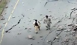 VIDEO Cutremur puternic în Afganistan, soldat cu moartea a cel puțin 130 de persoane și cu rănirea altor 250