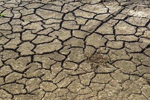 ONU: Foametea la nivel mondial s-a accentuat din nou anul trecut, iar amploarea acesteia ar putea fi fără precedent în 2022