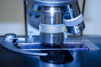 Infectări cu un nou virus de origine animală au fost detectate în China. Ce simptome au pacienții