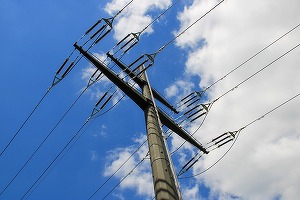Finlanda și Suedia intervin pentru a evita o situație de tipul prăbușirii Băncii Lehman Brothers în cazul companiilor de energie