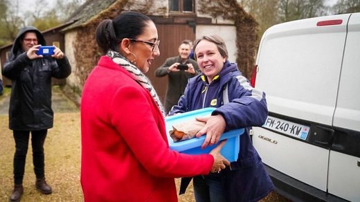 Livrarea de mâncare la domiciliu ar trebui să devină "activitatea numărul unu a poștașilor" francezi în următorii 10 ani, preconizează directorul companiei