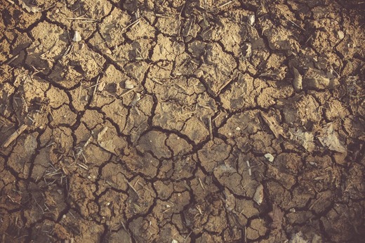 Avertisment al ministrului în România - Vom avea climă ca în Grecia în 20 de ani!