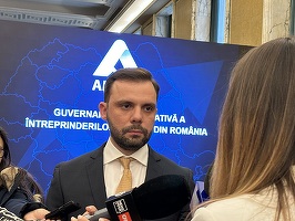Șefii AMEPIP, agenția care monitorizează companiile de stat, demisionează pentru că nu a fost îndeplinit un jalon PNRR - surse. UPDATE Mesajul Guvernului - Demisii depuse