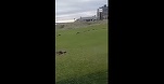 VIDEO Teren de golf al lui Donald Trump, vandalizat în Irlanda