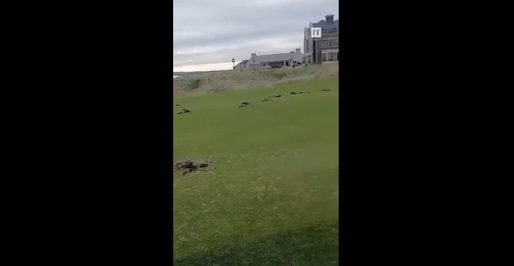 VIDEO Teren de golf al lui Donald Trump, vandalizat în Irlanda