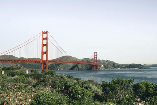 California a depășit Japonia și a devenit a patra cea mai mare economie a lumii, susține guvernatorul Gavin Newsom