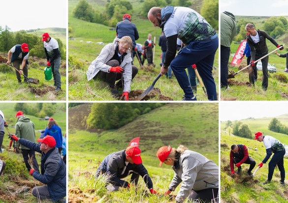 Florea Grup plantează 42.000 de puieți pe o suprafață de 9 hectare în județul Alba